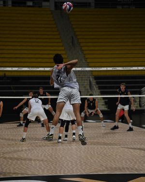 Image post by @lbsumvb on Instagram