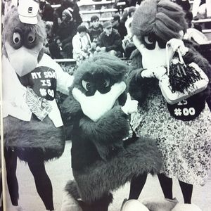 Image post by @uofscalumni on Instagram