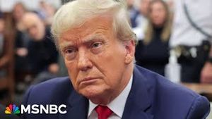 Video post by @msnbc on YouTube