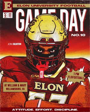 Image post by @elonfb on Instagram