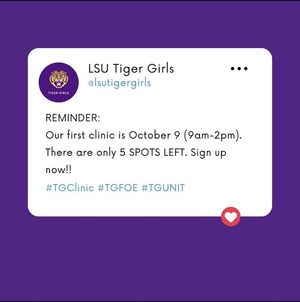 Image post by @lsutigergirls on Instagram