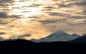 Image post by @tourismabbotsford on Instagram