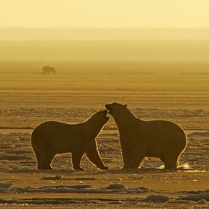 Image post by @natgeo on Instagram