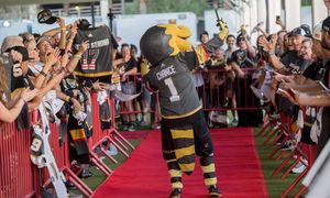 Image post by @chancenhl on Instagram