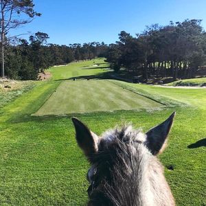 Image post by @pebblebeachresorts on Instagram