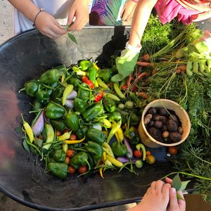 Image post by @kidsgardening on Instagram