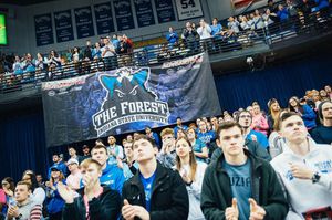 Image post by @isuforest on Instagram