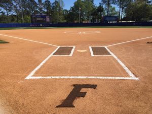 Image post by @gatorssb on Instagram