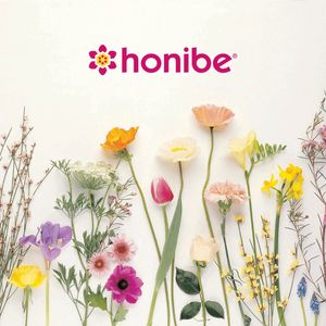 Image post by @honibe on Instagram