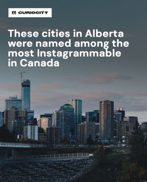 Image post by @curiocitycalgary on Instagram