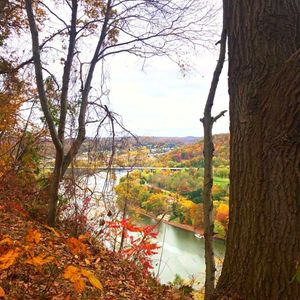 Image post by @yelppittsburgh on Instagram