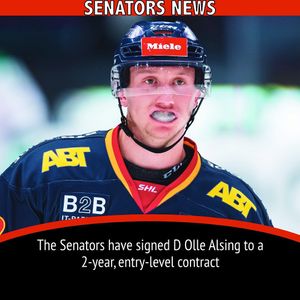 Image post by @sens_network on Instagram