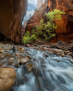 Image post by @nationalparkscollective on Instagram