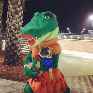 Image post by @albertathegator on Instagram