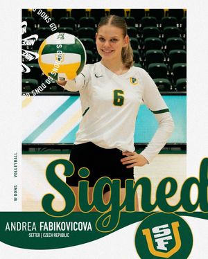 Image post by @usfdonsvb on Instagram