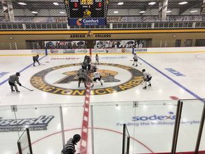 Image post by @adrianmd1hockey on Instagram