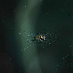 Image post by @nlabrusc on Instagram