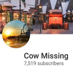 Image post by @cowmissing on Instagram