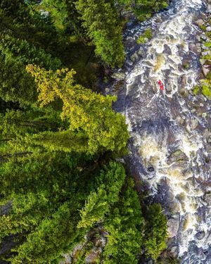 Image post by @nicktroutmankayak on Instagram