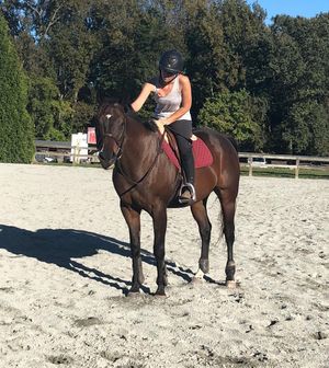 Image post by @appalachianequestrian on Instagram