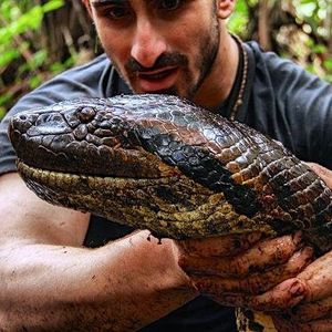 Image post by @discovery on Instagram