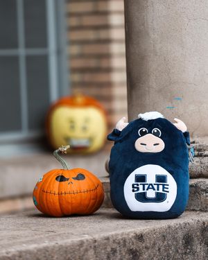 Image post by @utahstatealumni on Instagram