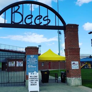 Image post by @burlington_bees on Instagram