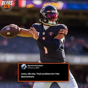 Image post by @bearsszn on Instagram