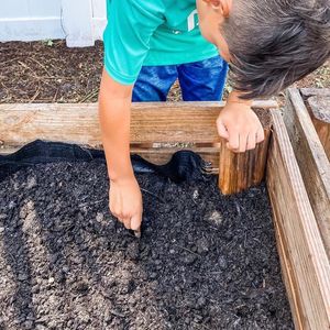 Image post by @kidsgardening on Instagram