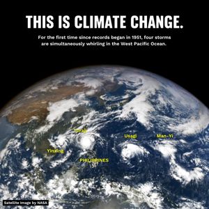 Image post by @greenpeace on Instagram