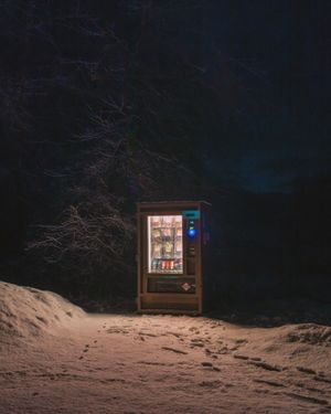 Image post by @vsco on Instagram