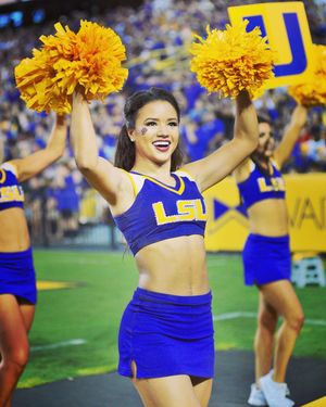 Image post by @lsutigergirls on Instagram