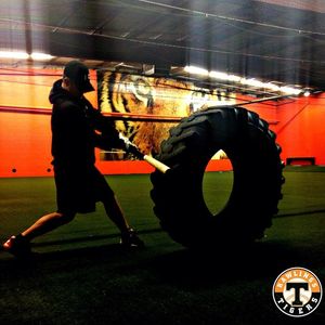 Image post by @rawlingstigers on Instagram