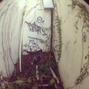 Image post by @chrishaven on Instagram