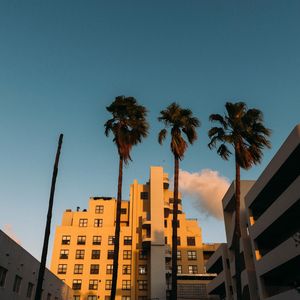 Image post by @its_holes on Instagram