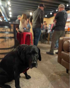 Image post by @10thmtnwhiskey on Instagram