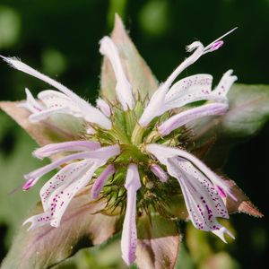 Image post by @nlabrusc on Instagram