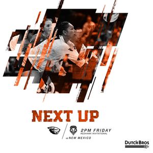 Image post by @beavervball on Instagram