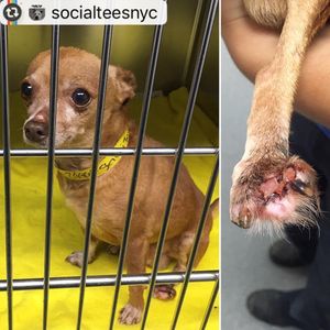 Image post by @nikkiglaser on Instagram