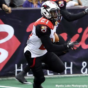 Image post by @jaxsharks on Instagram
