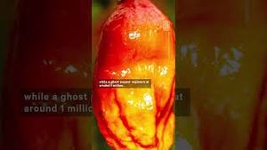 Video post by @nowthisnews on YouTube