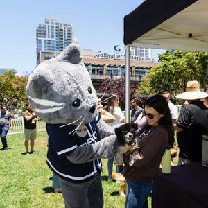 Image post by @padres on Instagram