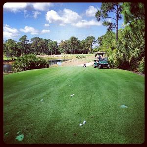 Image post by @lukedonald on Instagram