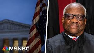 Video post by @msnbc on YouTube
