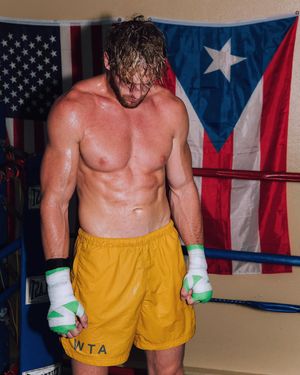 Image post by @loganpaul on Instagram