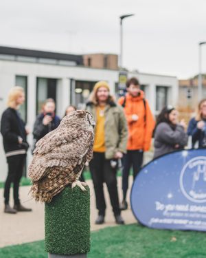 Image post by @kentunion on Instagram