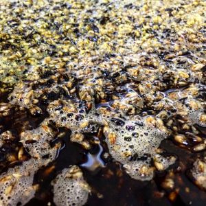 Image post by @navigationbrewingco on Instagram