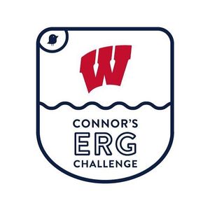 Image post by @badgermrowing on Instagram