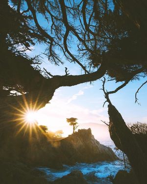 Image post by @pebblebeachresorts on Instagram