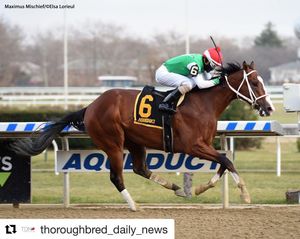Image post by @spendthriftfarm on Instagram